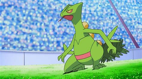 best items for sceptile.